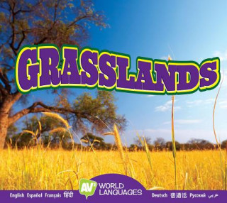 Libro Grasslands Alexis Roumanis