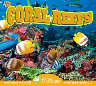 Kniha Coral Reefs Alexis Roumanis