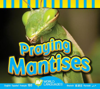 Buch Praying Mantises Aaron Carr