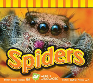 Carte Spiders Aaron Carr