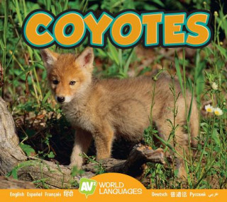 Book Coyotes Jordan McGill