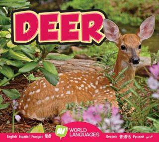 Książka Deer Jordan McGill