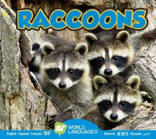 Könyv Raccoons Jordan McGill