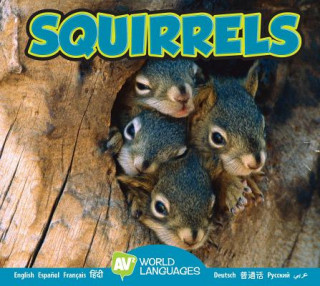 Könyv Squirrels Jordan McGill