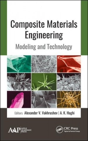 Könyv Composite Materials Engineering 