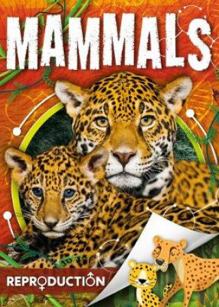 Kniha Mammals Joanna Brundle