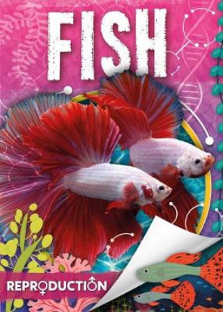 Kniha Fish Joanna Brundle