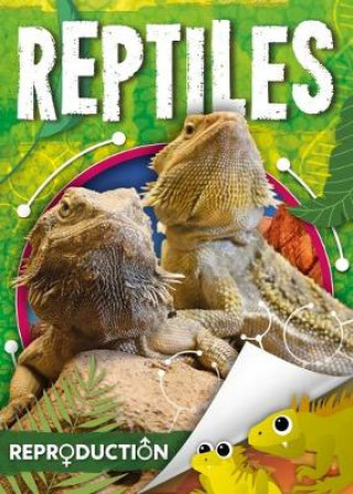 Livre Reptiles Joanna Brundle