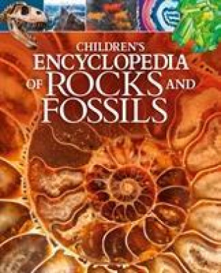 Книга Children's Encyclopedia of Rocks and Fossils Claudia Martin