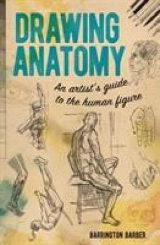 Book Drawing Anatomy Barrington Barber