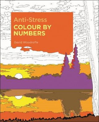 Książka Anti-Stress Colour by Numbers WOODROFFE  DAVID