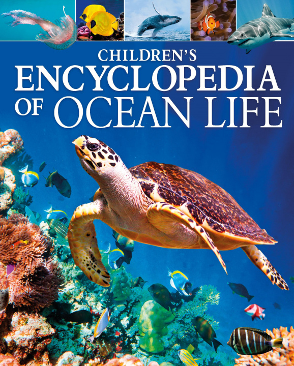 Kniha Children's Encyclopedia of Ocean Life 
