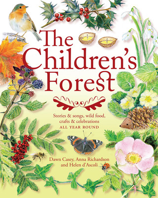 Könyv Children's Forest DAWN CASEY