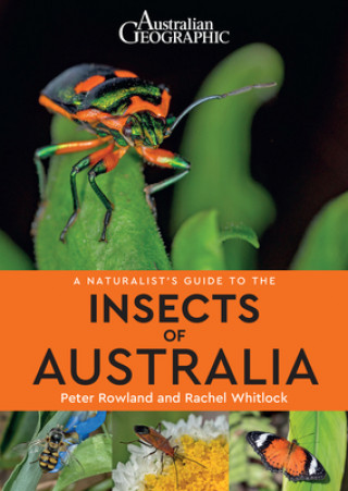 Kniha Naturalist's Guide to the Insects of Australia Peter Rowland