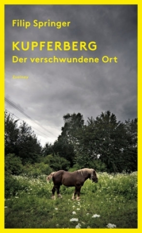 Könyv Kupferberg Filip Springer