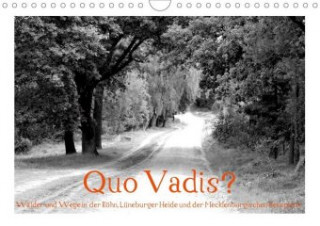 Calendar / Agendă Quo Vadis? Wälder und Wege in der Röhn, Lüneburger Heide und der Mecklenburgischen Seenplatte (Wandkalender 2020 DIN A4 quer) K. A. Fotokullt