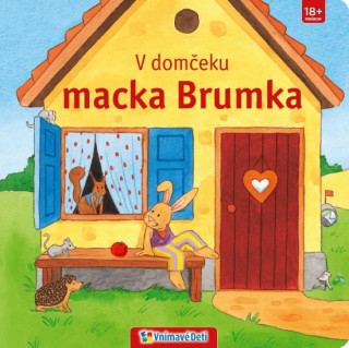 Kniha V domčeku macka Brumka neuvedený autor