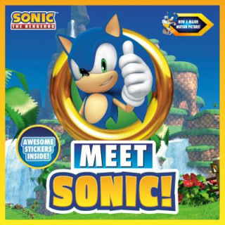 Könyv Meet Sonic!: A Sonic the Hedgehog Storybook Brandon T. Snider