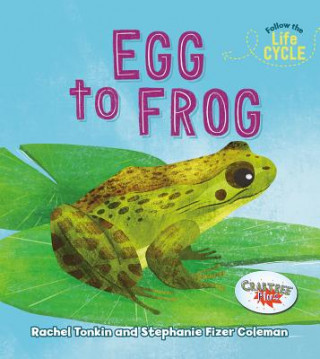 Buch Egg to Frog Rachel Tonkin
