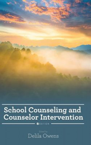 Książka School Counseling and Counselor Intervention Delila Owens