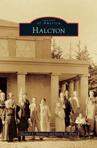 Book Halcyon Eleanor L Shumway
