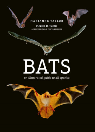 Книга Bats Marianne Taylor