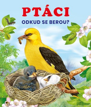 Kniha Ptáci collegium