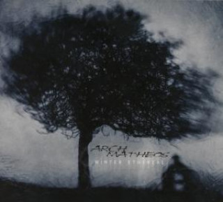 Zvok Winter Ethereal Arch/Matheos