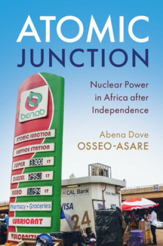 Kniha Atomic Junction Abena Dove Osseo-Asare