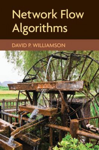 Könyv Network Flow Algorithms David P. Williamson