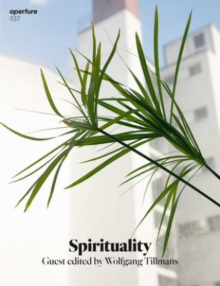 Kniha Aperture 237: Spirituality Wolfgang Tillmans