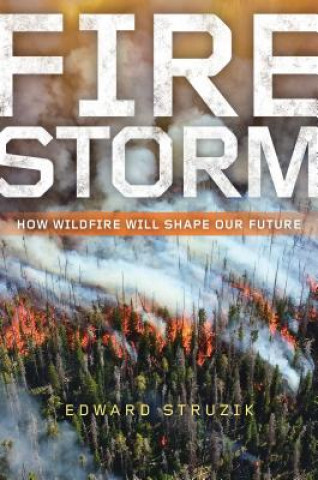 Boek Firestorm Edward Struzik