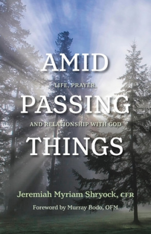 Buch Amid Passing Things Jeremiah Shryock