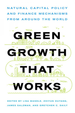 Kniha Green Growth That Works Lisa Ann Mandle