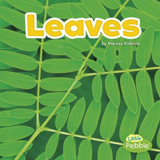 Knjiga Leaves Marissa Kirkman