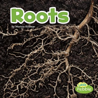 Carte Roots Marissa Kirkman