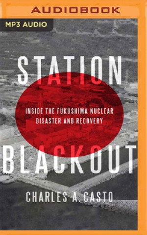 Digital Station Blackout: Inside the Fukushima Nuclear Disaster and Recovery Charles A. Casto