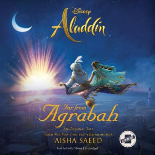 Digital Aladdin: Far from Agrabah Aisha Saeed