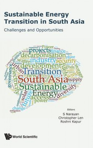 Könyv Sustainable Energy Transition In South Asia: Challenges And Opportunities Roshni Kapur