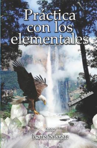 Buch Práctica Con Los Elementales Jesus Salazar