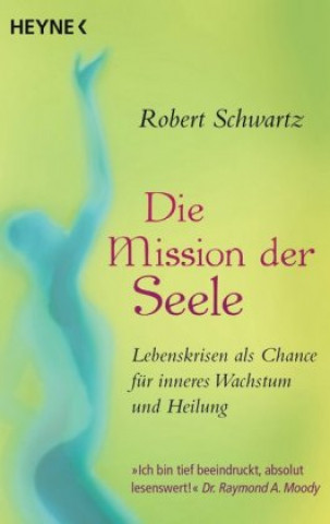Könyv Die Mission der Seele Robert Schwartz