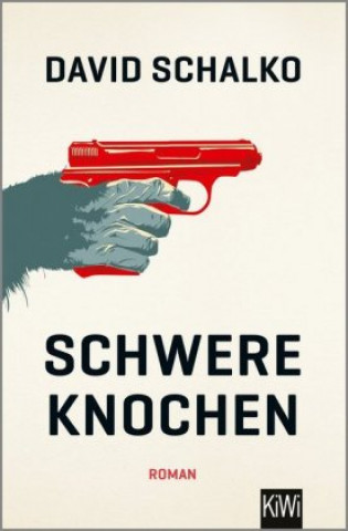 Kniha Schwere Knochen David Schalko