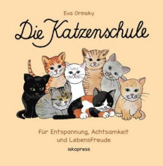 Book Die Katzenschule Eva Orinsky