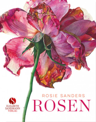 Könyv Rosen Rosie Sanders