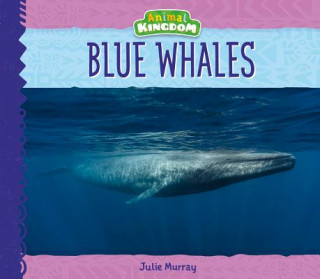 Könyv Blue Whales Julie Murray