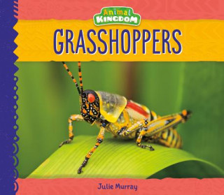 Knjiga Grasshoppers Julie Murray