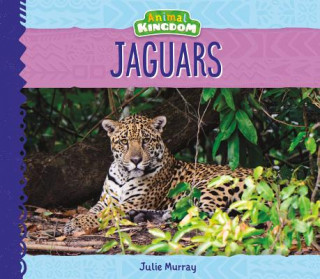 Könyv Jaguars Julie Murray