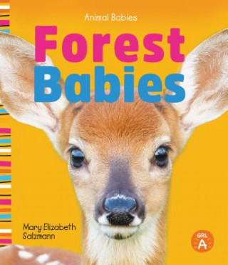 Knjiga Forest Babies Mary Elizabeth Salzmann