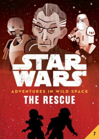 Buch Book 7: The Rescue Tom Huddleston