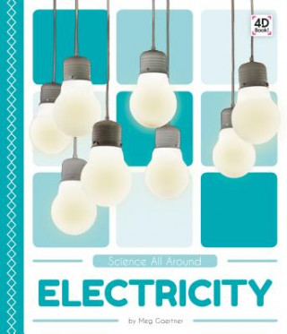 Könyv Electricity Meg Gaertner